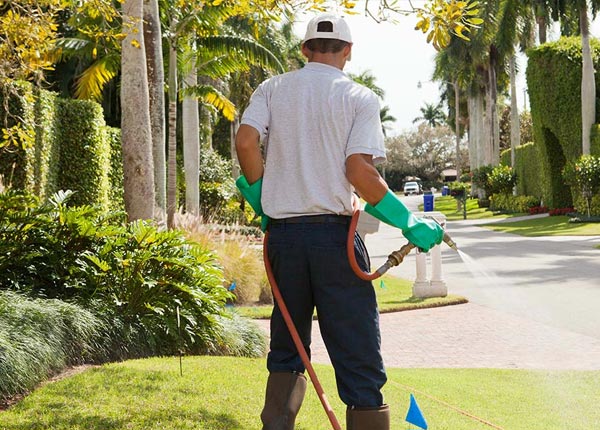 About Saddle River NJ Pest Control Pros